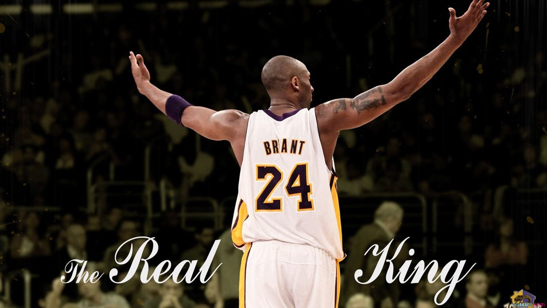 开云体育官方网站-世界排名争夺战之夜，楚阿梅尼数据全面爆炸