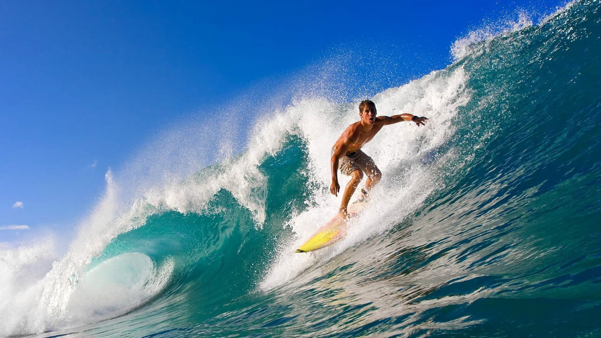 开云APP-林高远独木成林，波兰铁骑碾压韩国神话